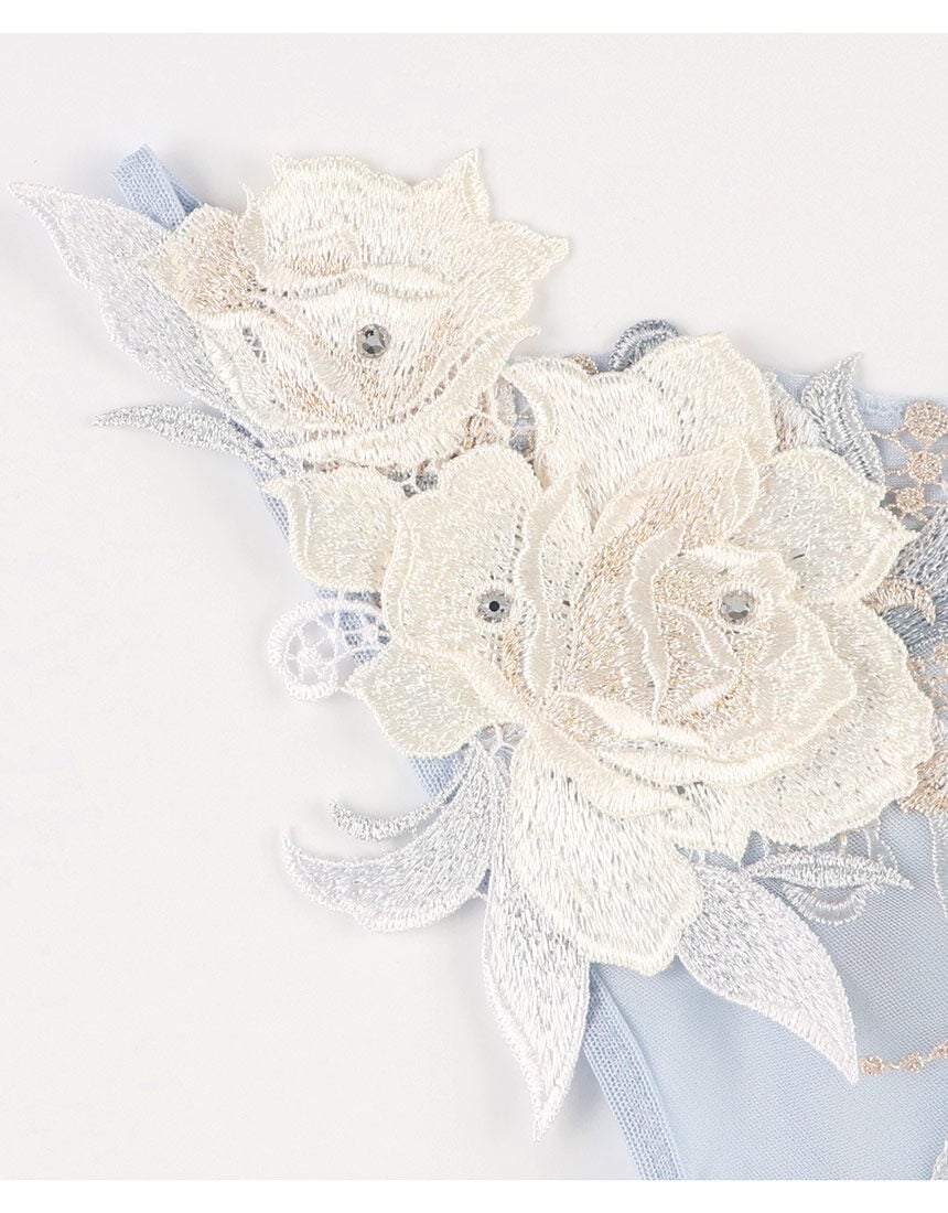 サルート 【限定発売商品】 Tバックショーツ PTK424｜ワコール直営の