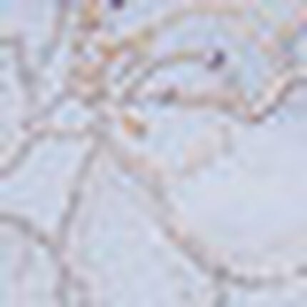 ブラ＆ショーツセット, , swatch