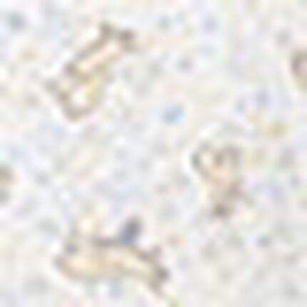 女児ショーツ, , swatch