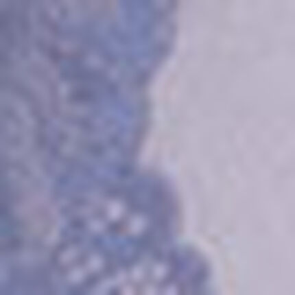ノンワイヤーブラ, , swatch