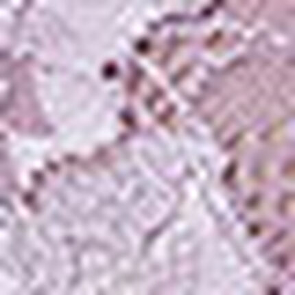 フルカップブラ, , swatch