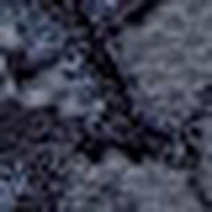 ショーツ, , swatch