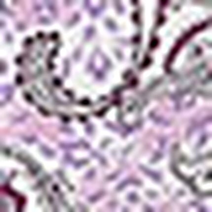 アウター　トップス, , swatch