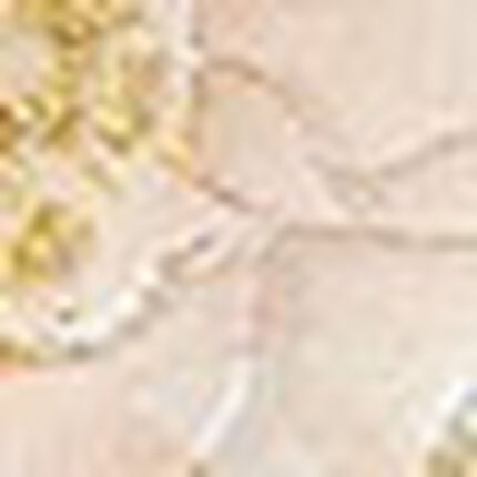 Ｔバックショーツ, , swatch