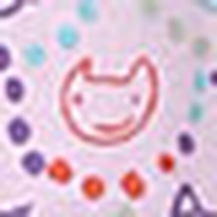ショーツ, , swatch