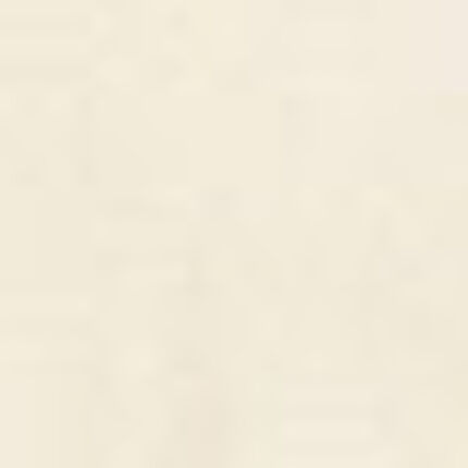 Ｔシャツ, , swatch