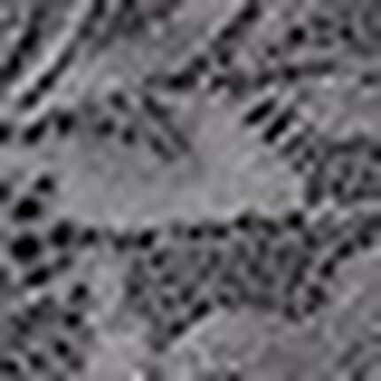 ブラジャー, , swatch