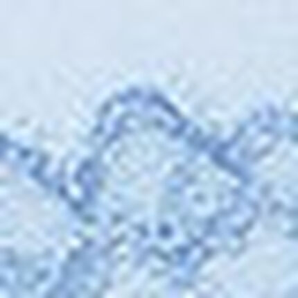 ショーツ, , swatch