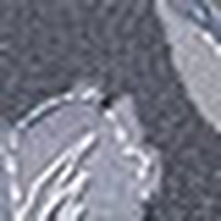 Ｔバックショーツ, , swatch