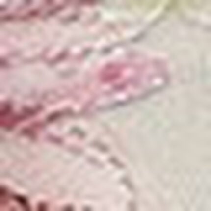 Ｔバックショーツ, , swatch