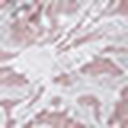 ショーツ, , swatch