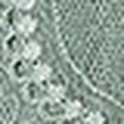 ショーツ, , swatch