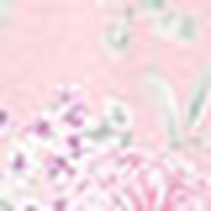 パジャマ, , swatch