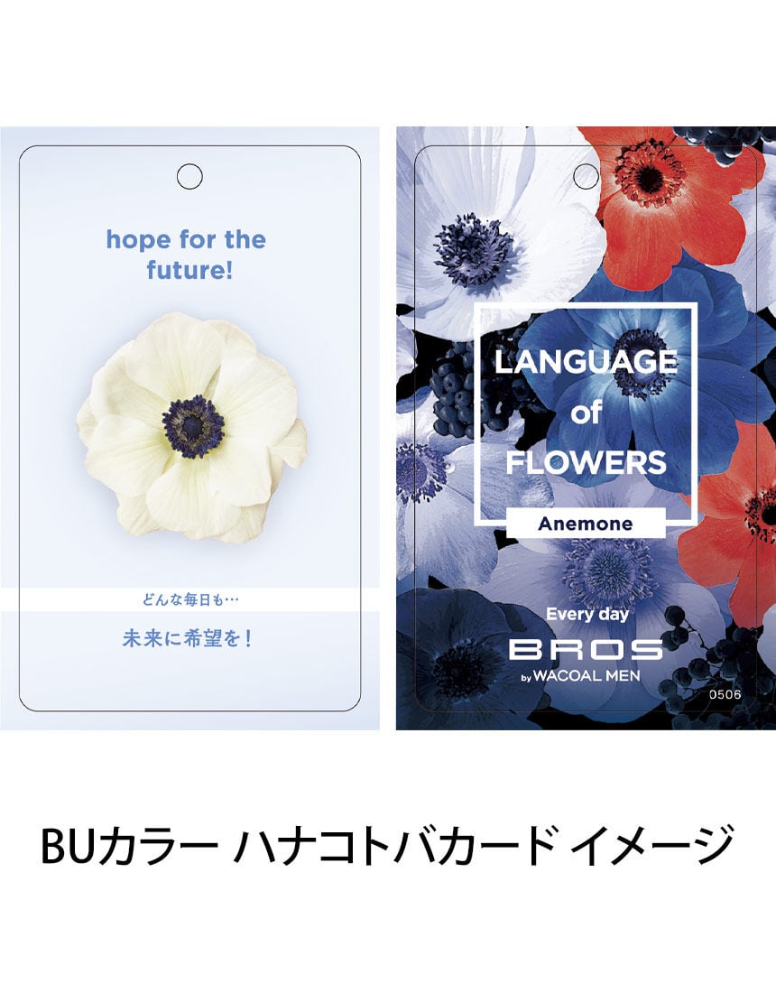 メンズボクサーパンツ, , hi-res