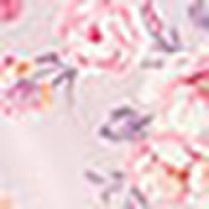 パジャマ, , swatch