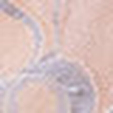 ショーツ, , swatch