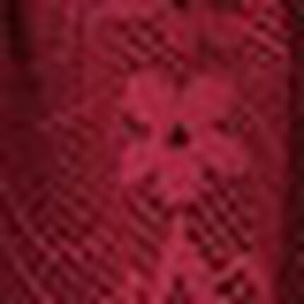 Ｔバックショーツ, , swatch