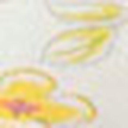 マタニティノンワイヤーブラ（産後）, , swatch