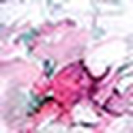 キャミソール, , swatch