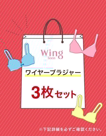 ワイヤーブラ３枚セット, , main