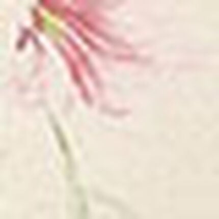 ガードル（ロング丈）, , swatch