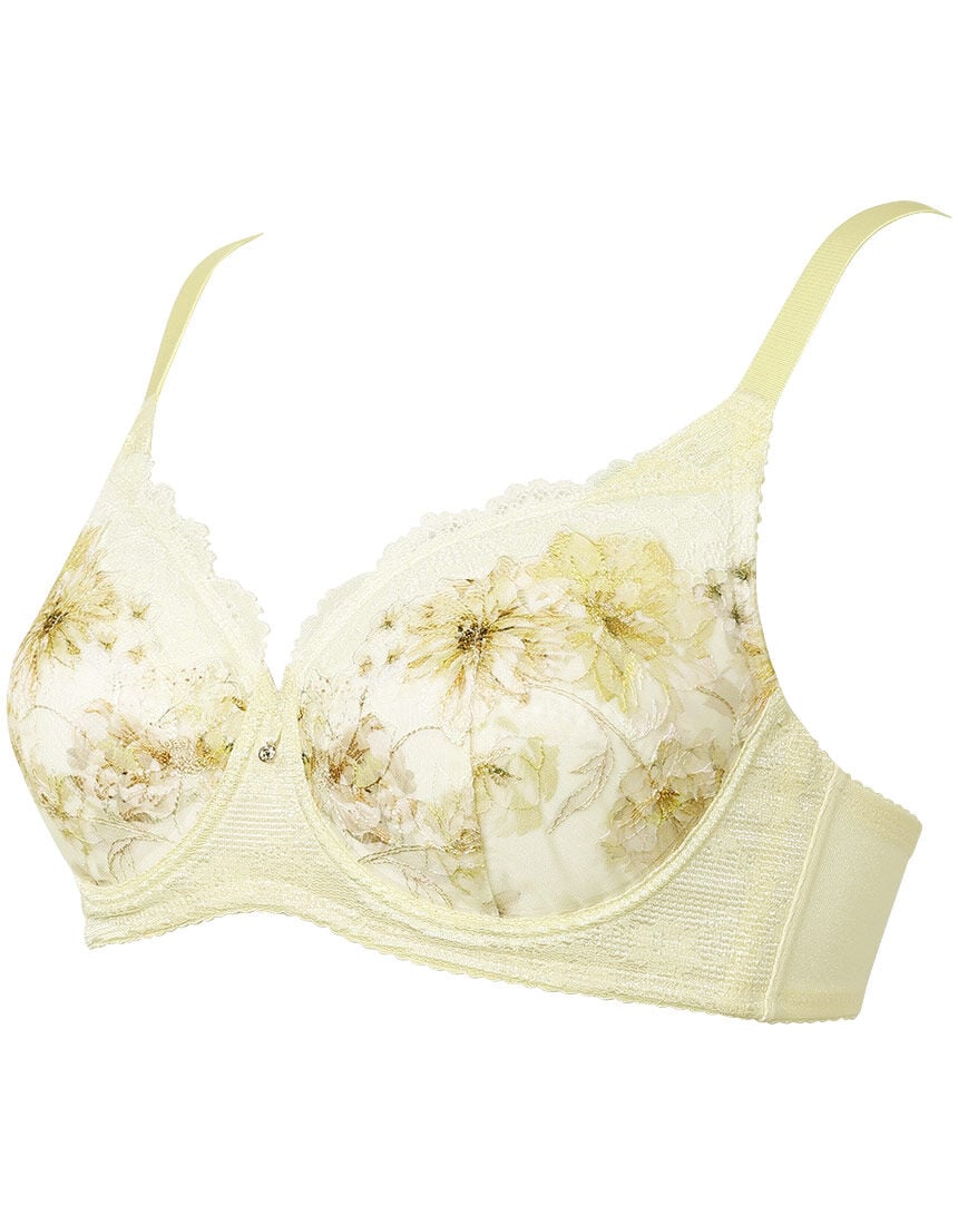 ワイヤーブラ（フルカップ）, , hi-res