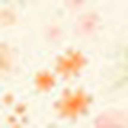 パジャマ, , swatch