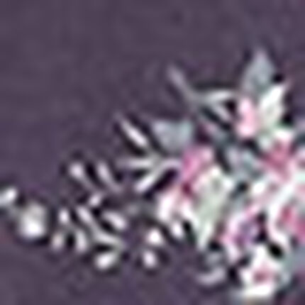 ネグリジェ, , swatch