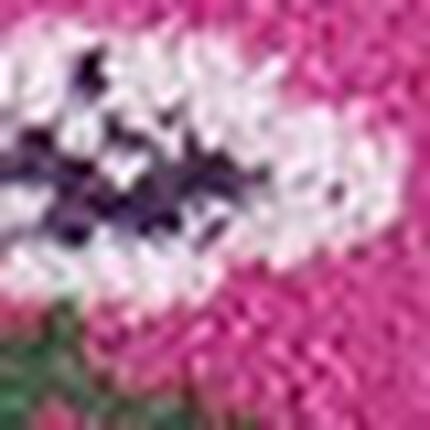 ボトムス（３分丈）, , swatch