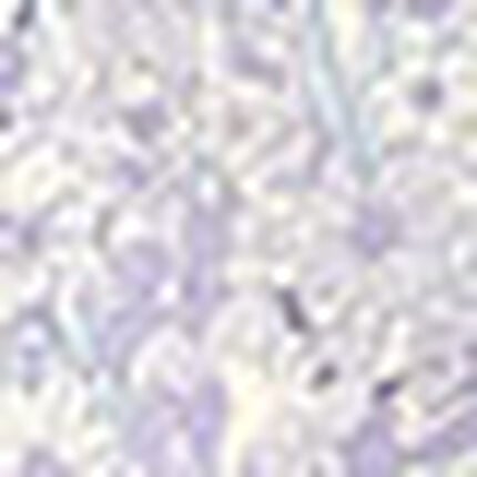 パジャマ, , swatch