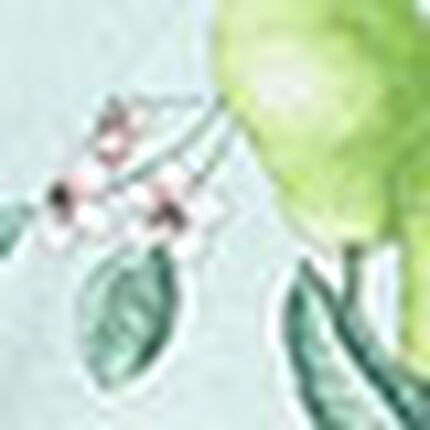 ネグリジェ, , swatch