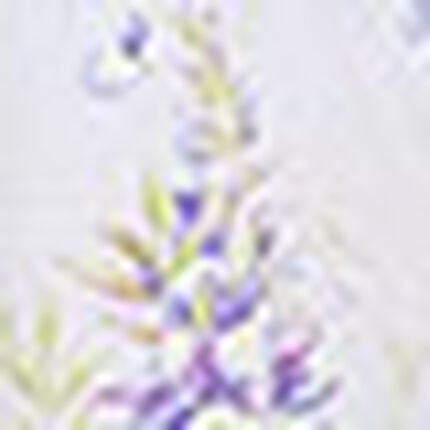 パジャマ, , swatch