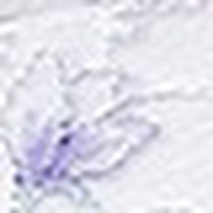 レディスショーツ, , swatch