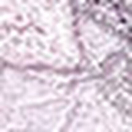 Ｔバックショーツ, , swatch