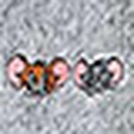 セットアップ, , swatch