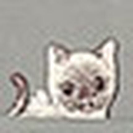 パジャマ, , swatch