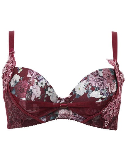 ３／４カップブラ, , main