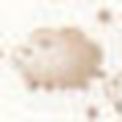 ベビーロンパース, , swatch