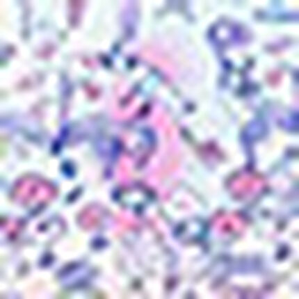 ワンピース, , swatch