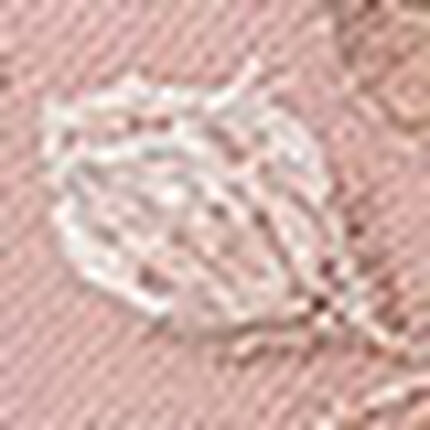 ショーツ, , swatch