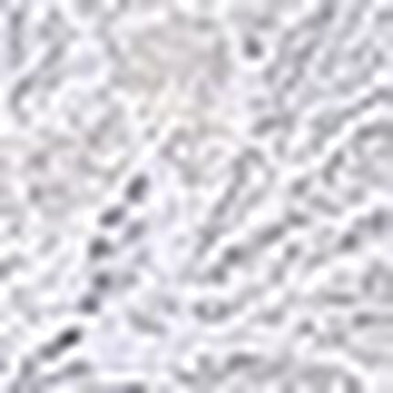 ショーツ, , swatch