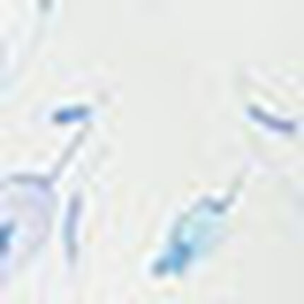 パジャマ, , swatch