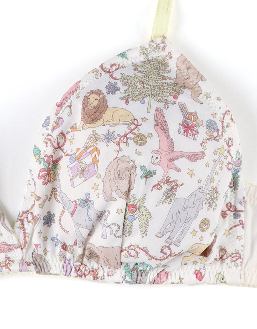 ノンワイヤーブラ, , hi-res