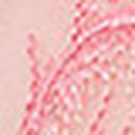 ブラジャー, , swatch