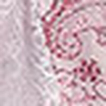 Ｔバックショーツ, , swatch