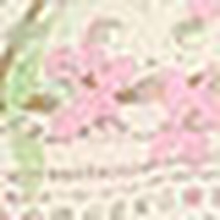 ショーツ, , swatch