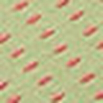 い草　スリッパ（刺し子）, , swatch