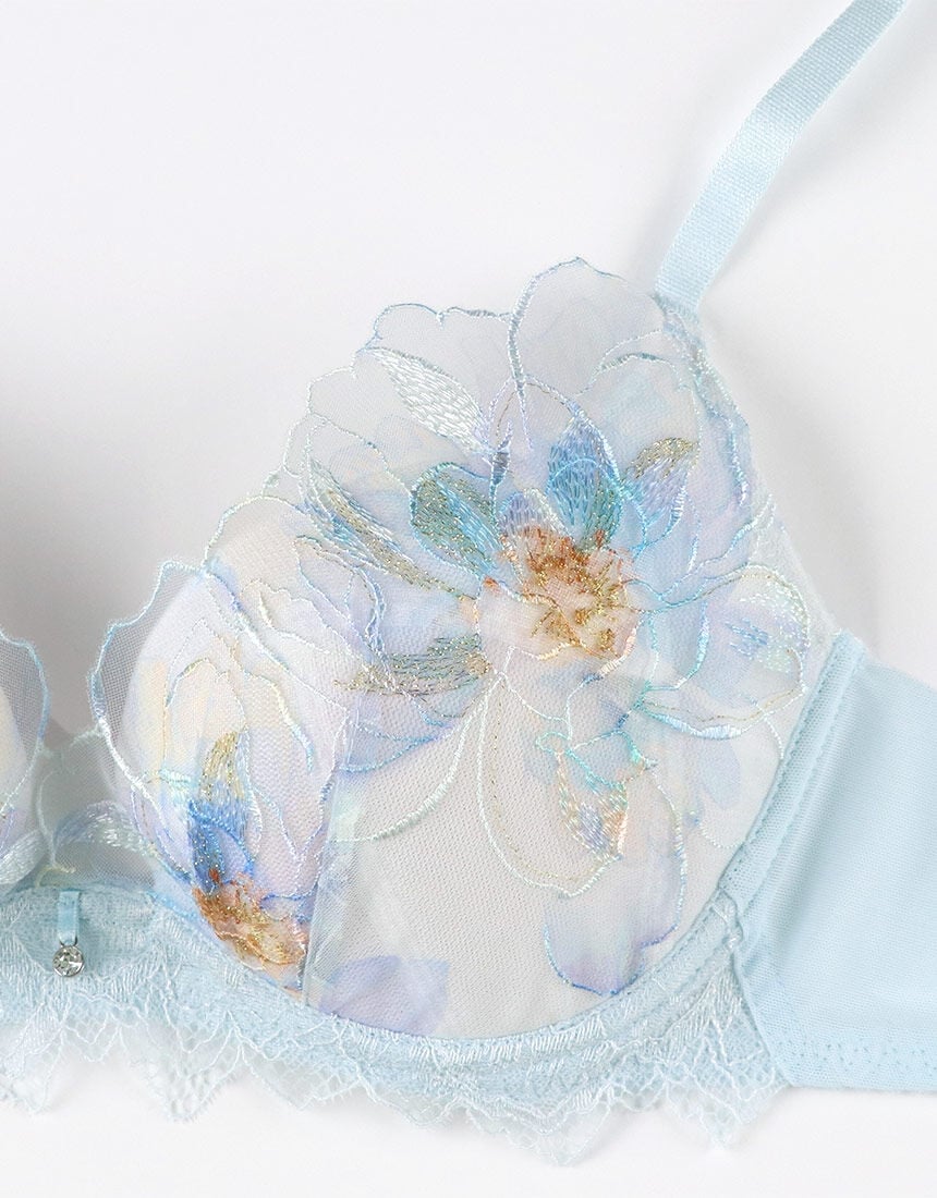 ワイヤーブラ（３／４カップ）, , hi-res