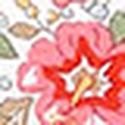 ノンワイヤーブラ, , swatch
