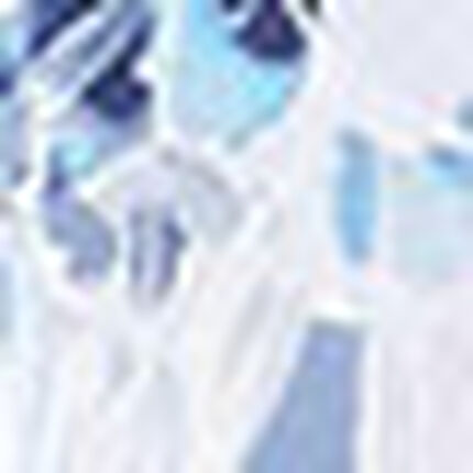 水着（ビキニ　トップ）, , swatch